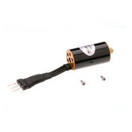 HM-4B100-Z-22 - Brushless Main Motor Walkera