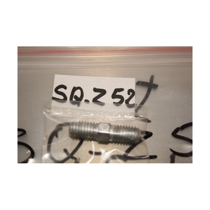 SQ-Z52 - Z52 - Double Screw - 1pc (Z52) Sheng Qi
