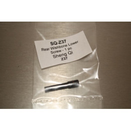 SQ-Z37 - Rear Wishbone Lower Screw - 1 pc (Z37) Sheng Qi