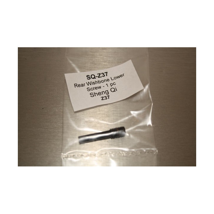 SQ-Z37 - Rear Wishbone Lower Screw - 1 pc (Z37) Sheng Qi
