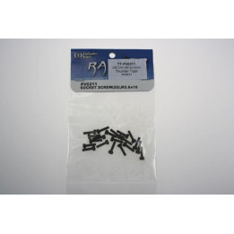 TT-PV0211 - VIS CHC M2.6x10mm (PV0211) Thunder Tiger