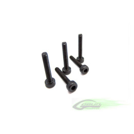 GB-HC018-S - DIN 12.9 Socket Head Cap M2,5x6 (5pcs) Goblin