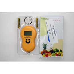 DT-OR013-09701 - Portable Electronic Hanging Scale