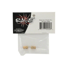 CY-ND-YR-AS040 - Pinion set 13 Curtis Youngblood Rave 450 3D Curtis Youngblood