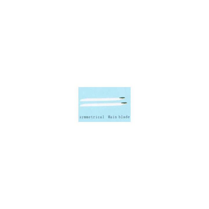 EK-001513 - Main Rotor Blade Esky