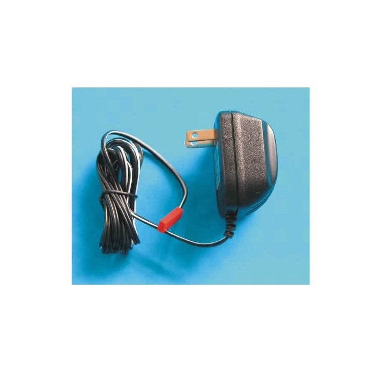 EK-000166 - Charger 110V USA (two feet, flat) (old EK1-0052) Esky