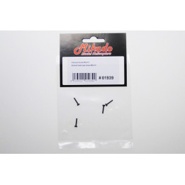 MK-01939 - Vis BTR / Socket head cap screw M2x10 (01939) Mikado