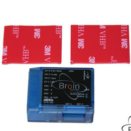 MS-51615 - Brain case Clear Blue (MSH51615) MSHeli