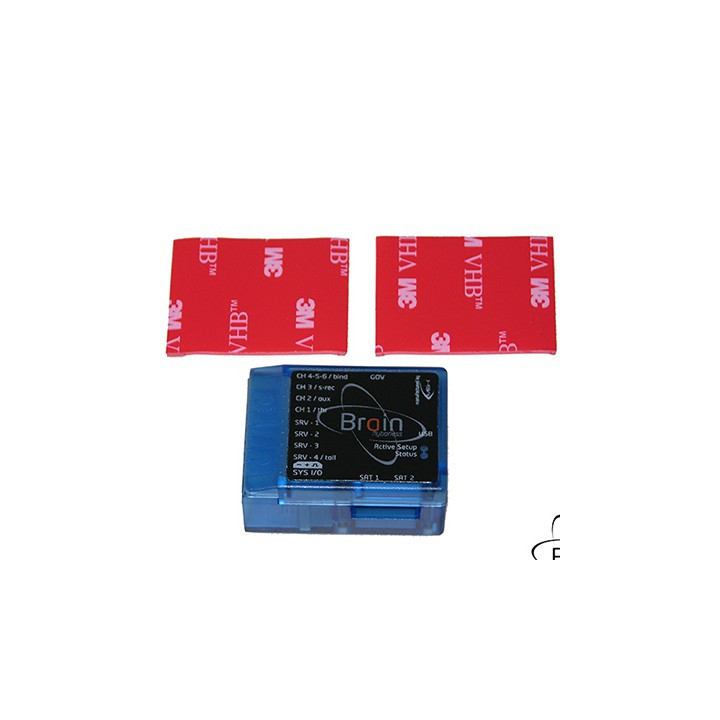 MS-51615 - Brain case Clear Blue (MSH51615) MSHeli