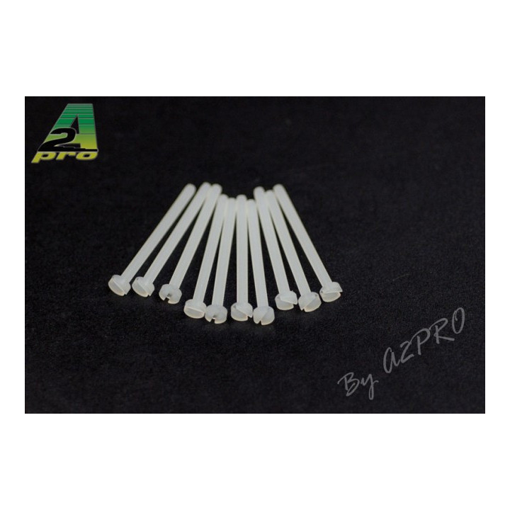 A2-25225-Vis TC nylon 2x25mm (10 pcs) (25225)