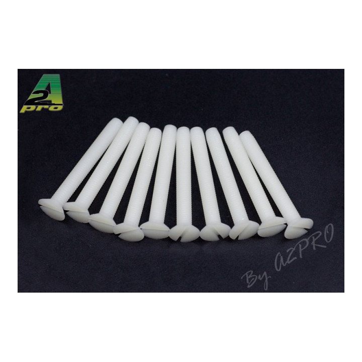 A2-26650-Vis TF nylon 6x50mm (10 pcs) (26650)