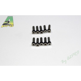A2-323010-Vis BTR TC Inox 3x10mm (323010)