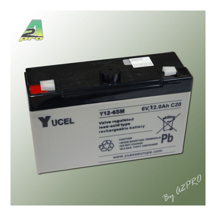 A2-106100 Batterie 6V - 12Ah (106100)