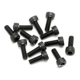 HI-Z542-VIS M3X8MM S12 (Z542)