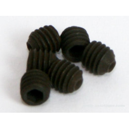 AD-254029 VIS SANS TETE M3X3MM S6 (254029)