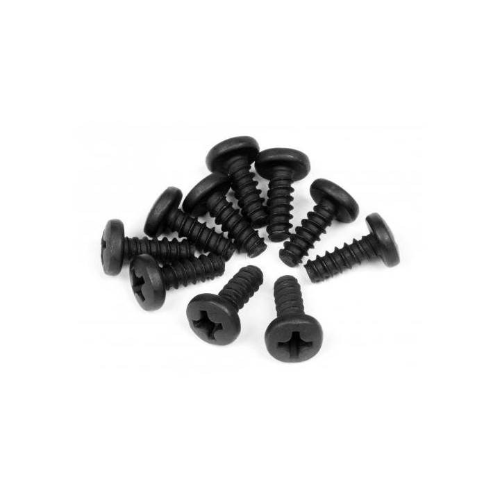 HI-Z566-VIS TOLE TETE PLATE M3X8MM S10 (Z566)