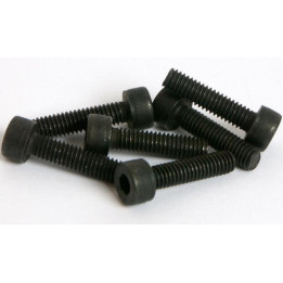 AD-258271 SET DE VIS 4X16MM S6 (258271)